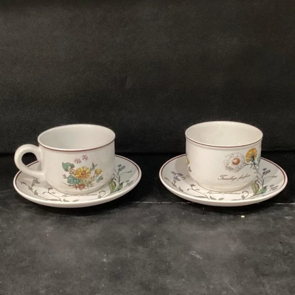 Villeroy & Boch Botanica Teacup and Saucers, Set of 2, Vintage Botanical Design